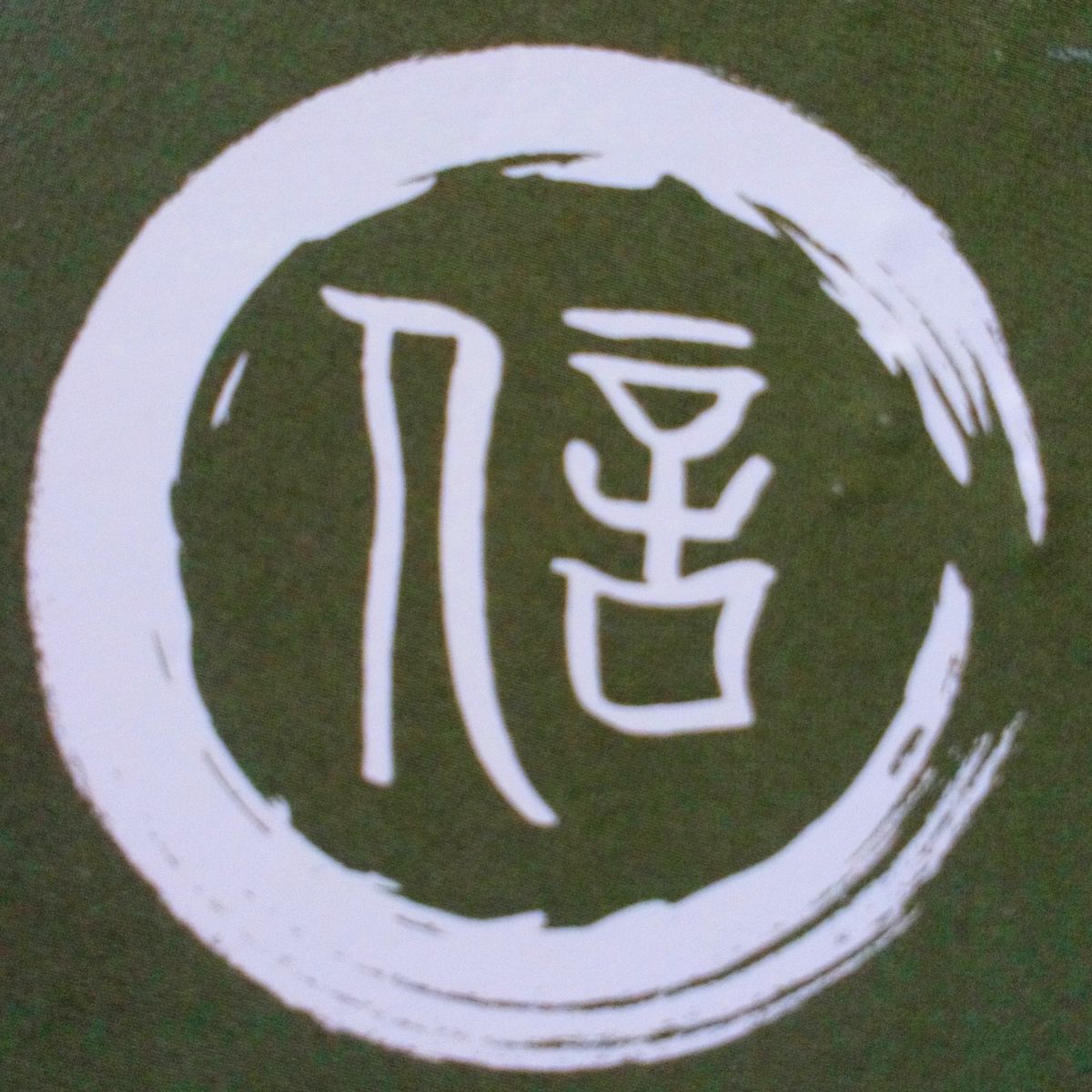 Ulrike Leier, Praxis für chinesische Medizin