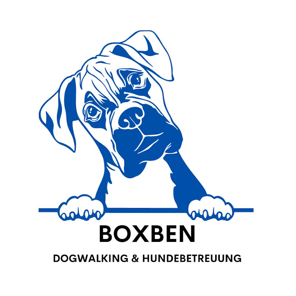 Boxben Dogwalking und Hundebetreuung