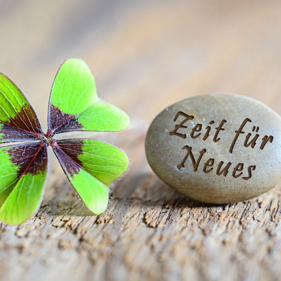 WohlHarmonie - natürlich gut und erfolgreich mit Susanne