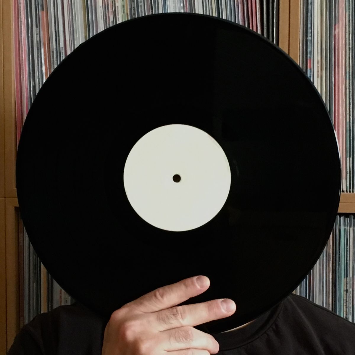 Devinylhunter