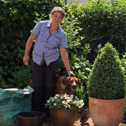 Gartengestaltung