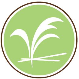 AUSZEIT - Die Wellnessmassagen