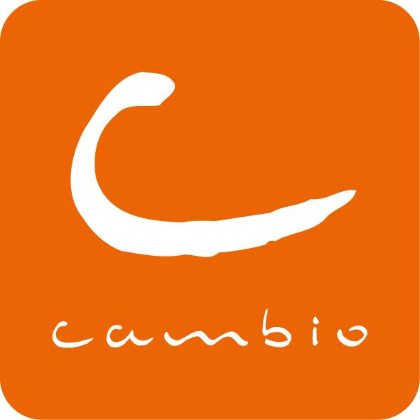 cambio CarSharing Düsseldorf