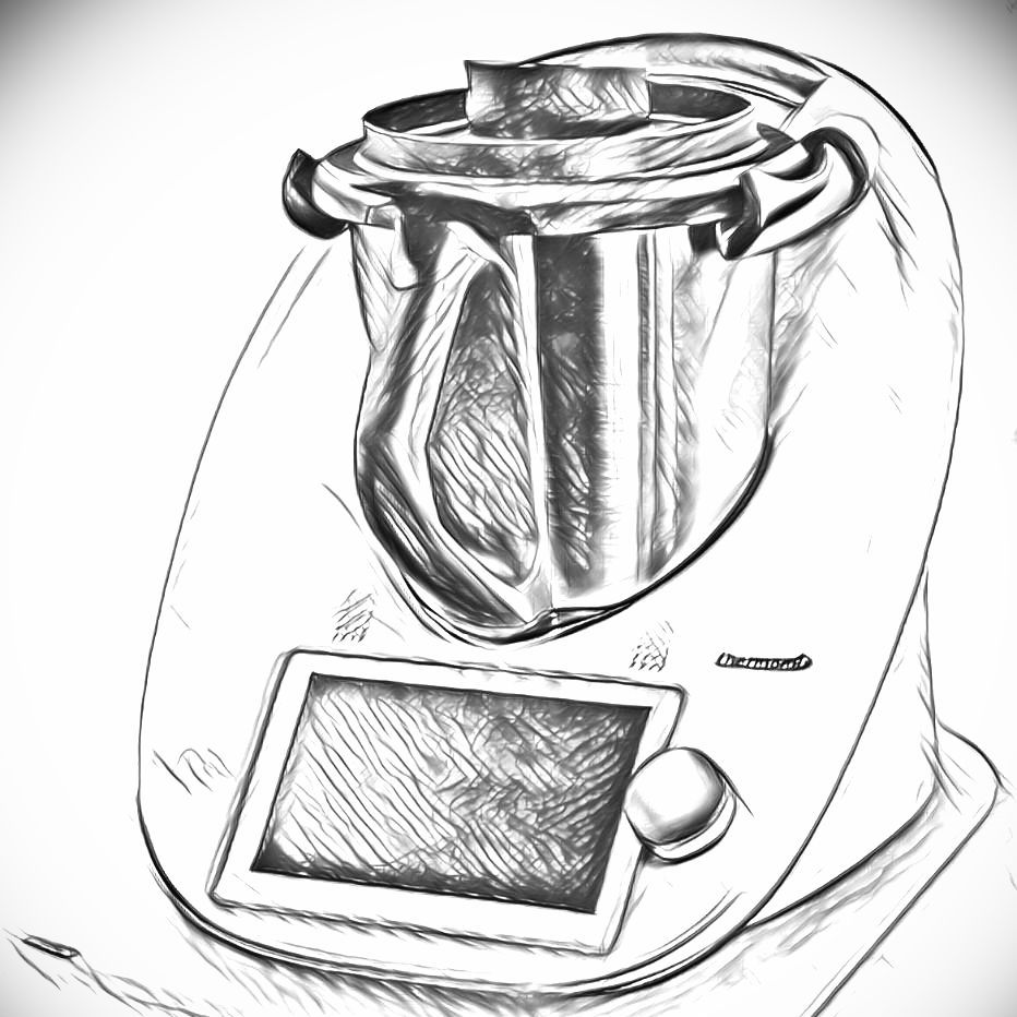 Thermomix Repräsentantin