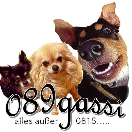 089gassi