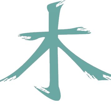 Feng Shui - Energie im Fluss
