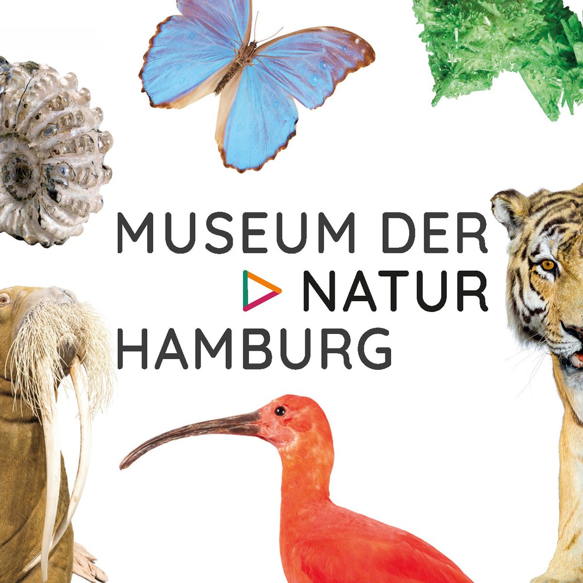 Museum der Natur Hamburg - Zoologie