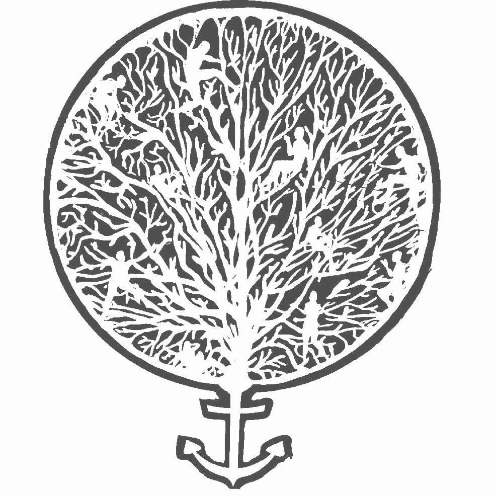 Ankerpunkt Baumpflege