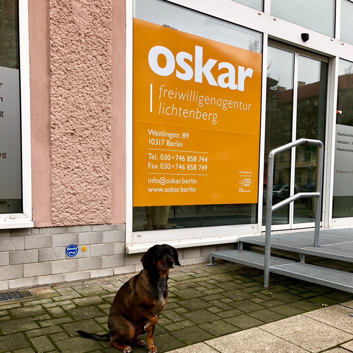 oskar freiwilligenagentur lichtenberg