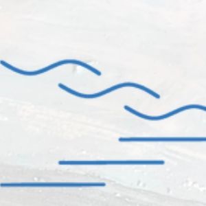 MILAZET Emotionale Abflussreinigerin